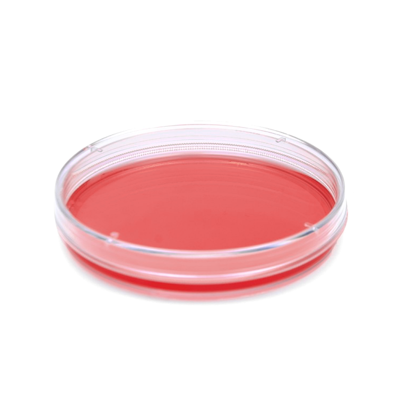 ISOLAB Hücre Kültürü İçin Petri Kutusu – Ø84.6 x 17 mm – 500 Adet/Kutu - S.120.13.090