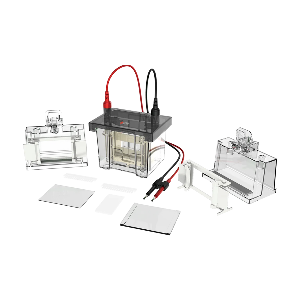 DL-Mini01 Dikey Elektroforez Tankı (Çift Plakalı)