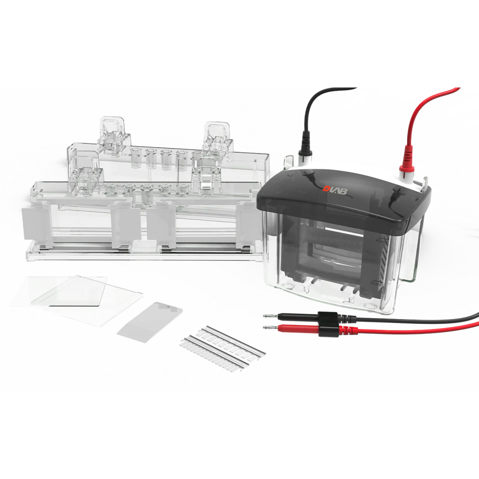 DL-Mini04 Dikey Elektroforez Tankı
