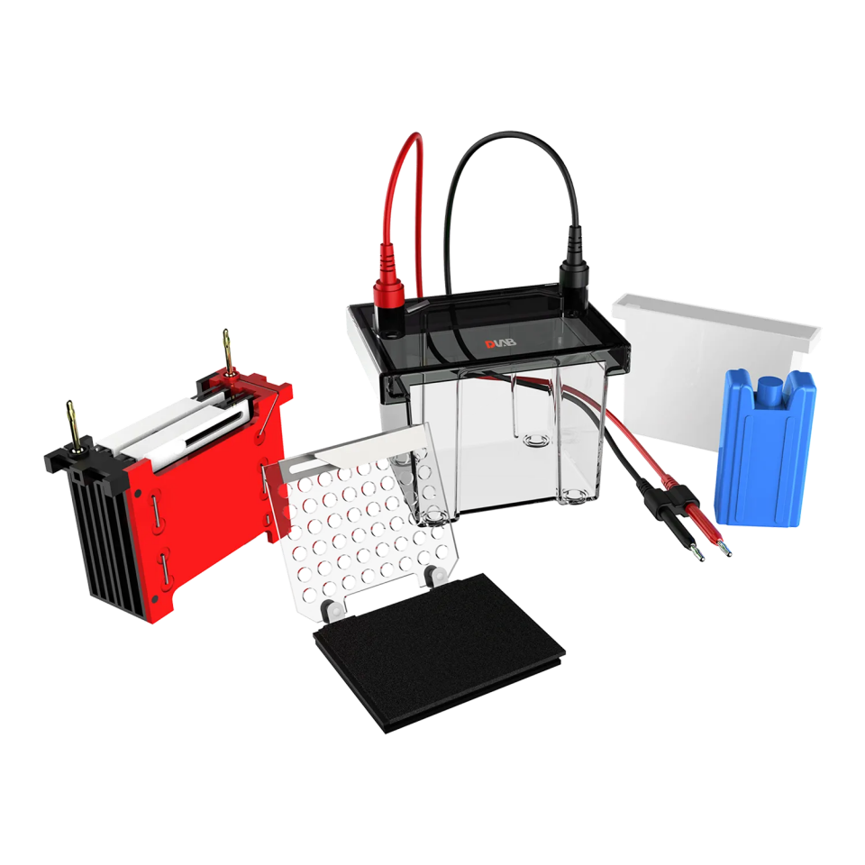 DL-ZY02 Transfer Elektroforez Tankı