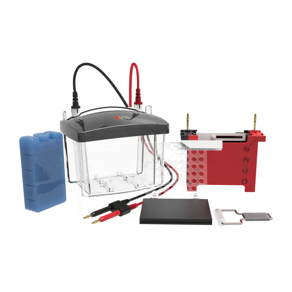 DL-ZY03 Transfer Elektroforez Tankı