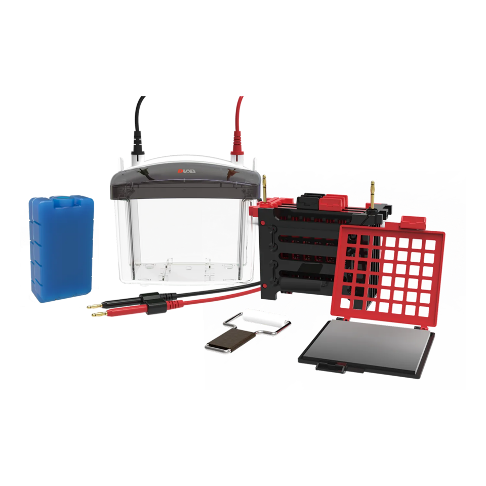 DL-ZY04 Transfer Elektroforez Tankı