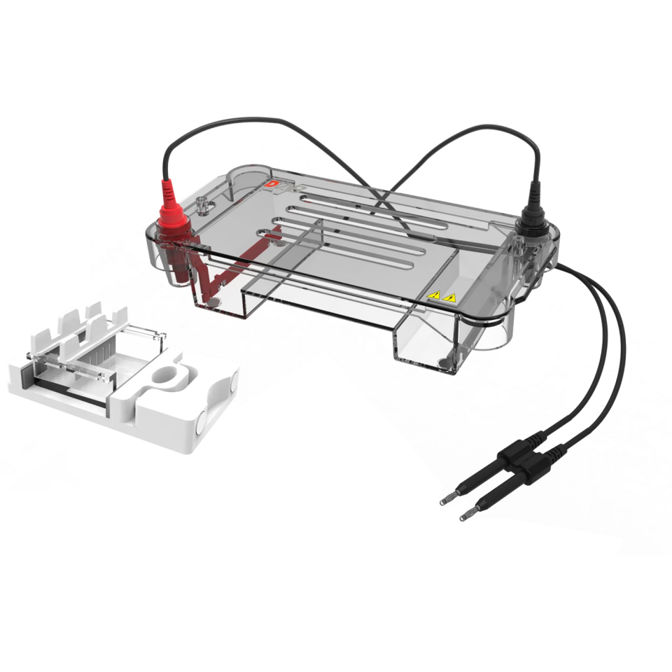 DL-SUB01 Yatay Elektroforez Tankı